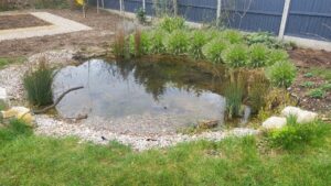 What Kind of Pond Liner Appears Best for You?