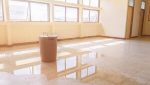 Water Damage Restoration Company: The First Step in Dealing with Water Damage