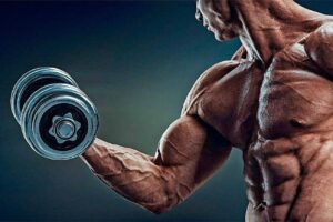 Three Best Muscle-Building Supplements That Could Help One Grow Much More Than Their Potential